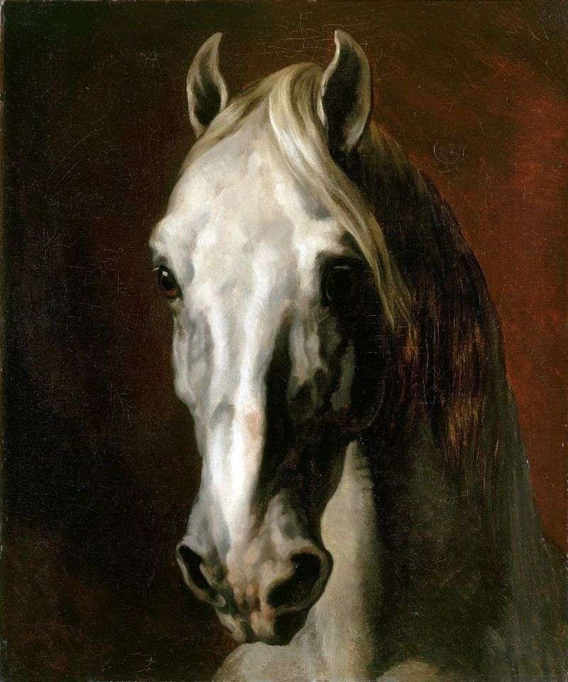 Testa di cavallo bianco   Theodore Gericault