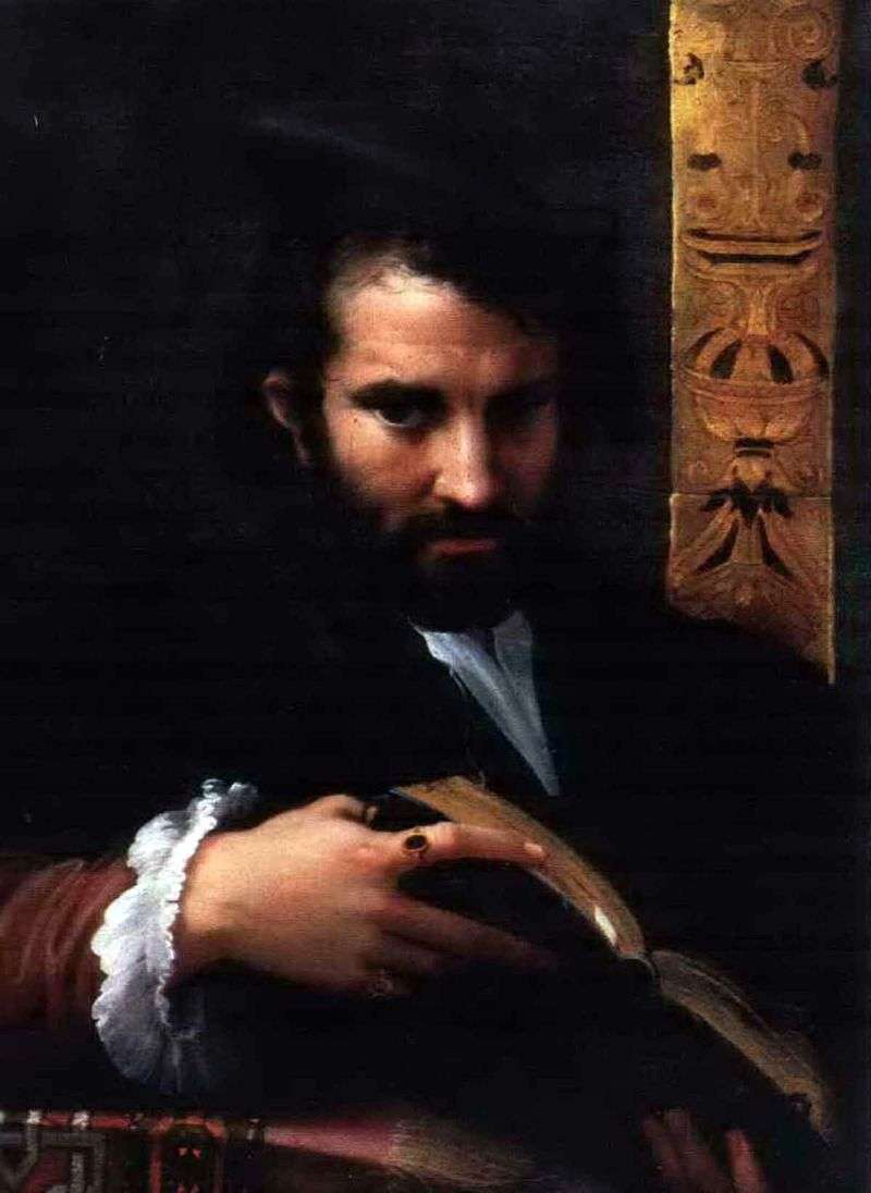 Ritratto di un uomo con un libro   Francesco Parmigianino