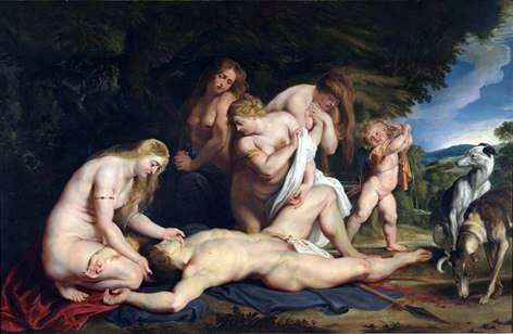 Morte di Adone   Peter Rubens