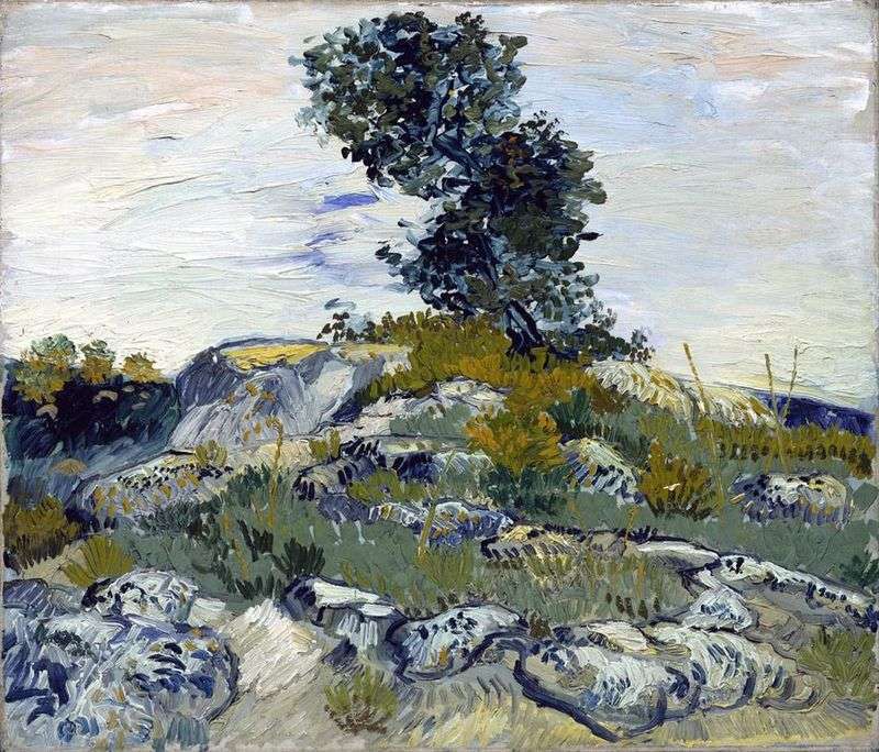 Boulders and Oak   Vincent Van Gogh