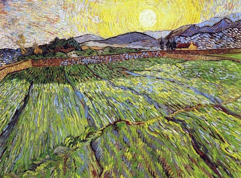 Campo arato con il sol levante   Vincent Van Gogh