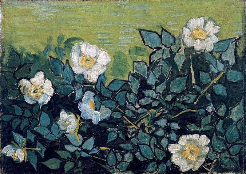 Rose selvatiche   Vincent Van Gogh