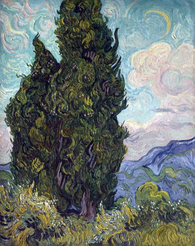 Cipressi   Vincent Van Gogh