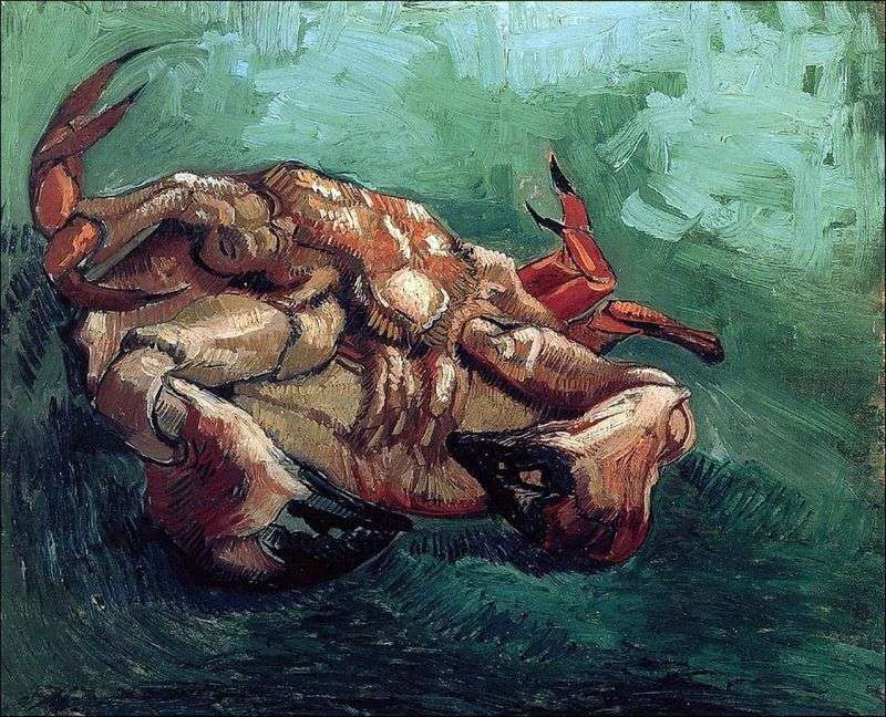 Granchio sulla schiena   Vincent Van Gogh