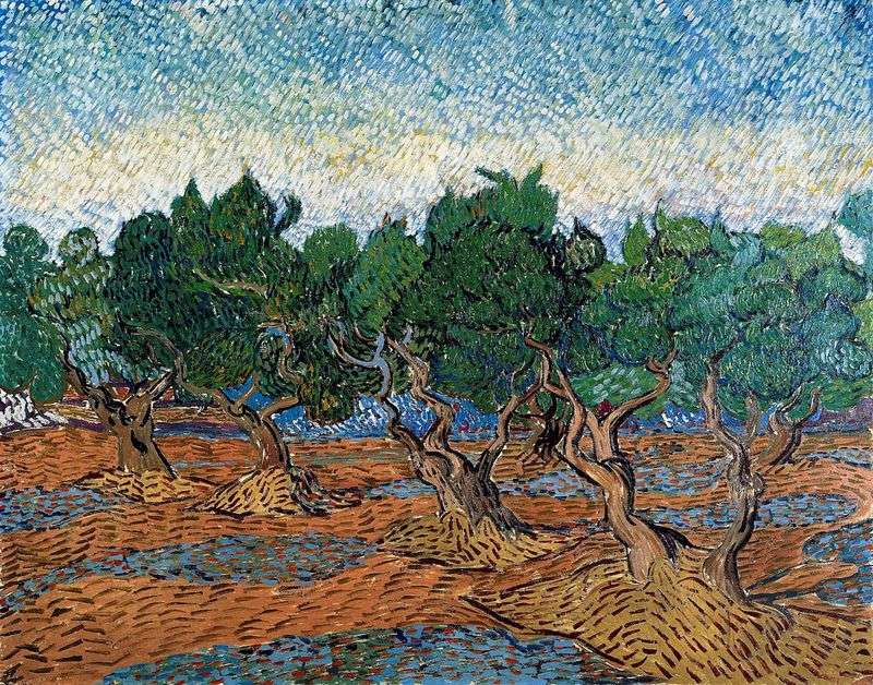 Oliveto IV   Vincent Van Gogh