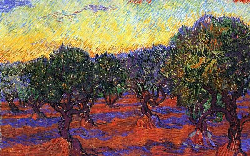 Olive Grove: Orange Sky   Vincent Van Gogh