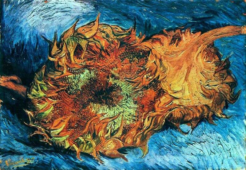 Girasoli. Due girasoli tagliati: Vincent Van Gogh