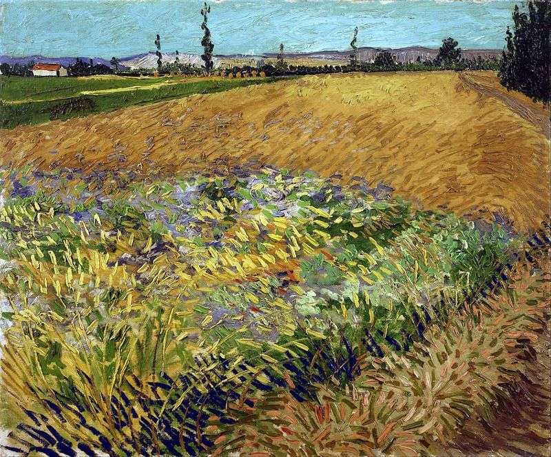 Campo di grano e antiche Alpi pedemontana in background   Vincent Van Gogh