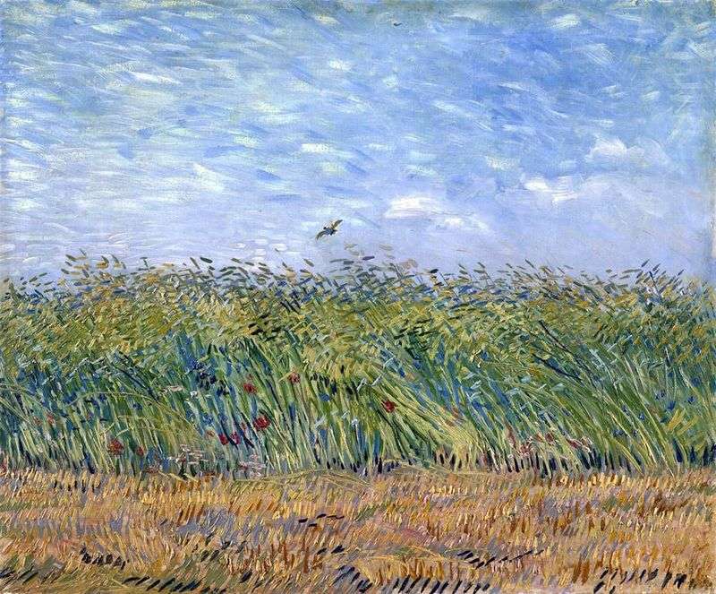 Campo di grano con unallodola   Vincent Van Gogh