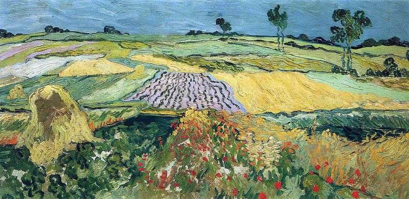 Campi di grano, pianura Over   Vincent Van Gogh