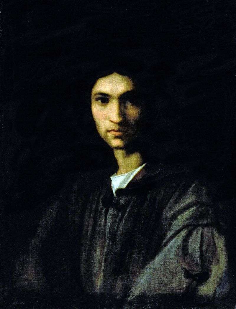 Ritratto di un giovane   Andrea del Sarto