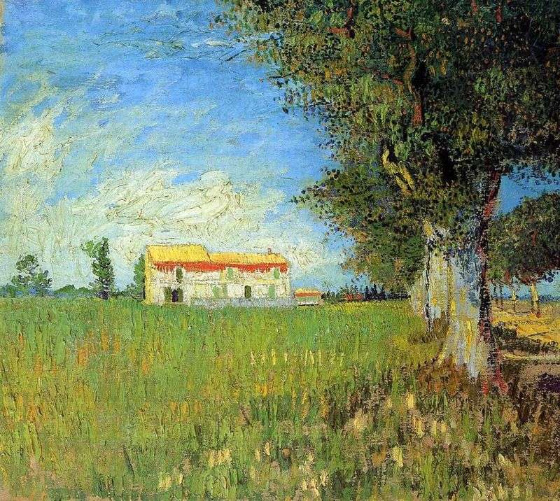 Fattoria di campo di grano   Vincent Van Gogh