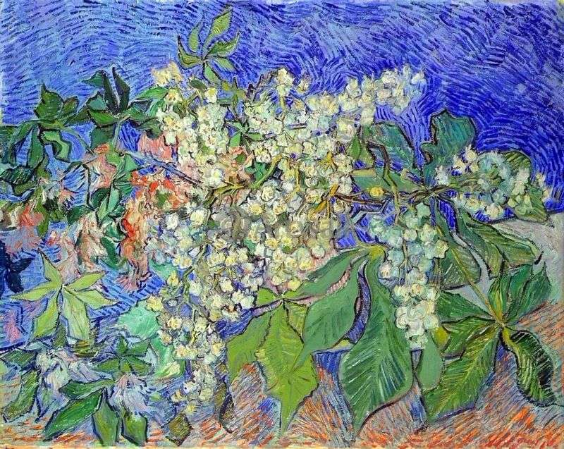Rami di castagno in fiore   Vincent Van Gogh