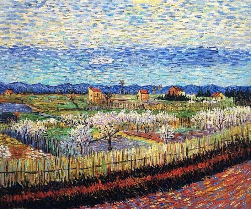 Alberi da pesca in fiore   Vincent Van Gogh