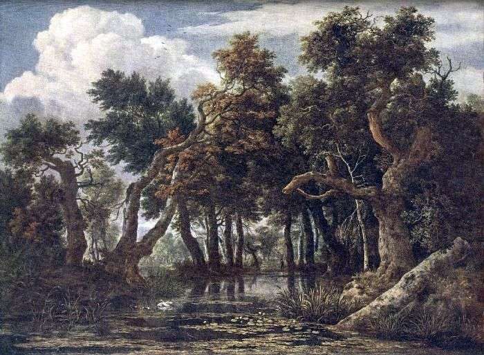 Paludi   Jacob van Ruysdael
