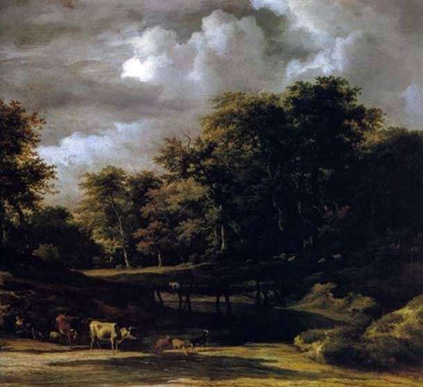 Forest Landscape   Jacob van Ruisdal