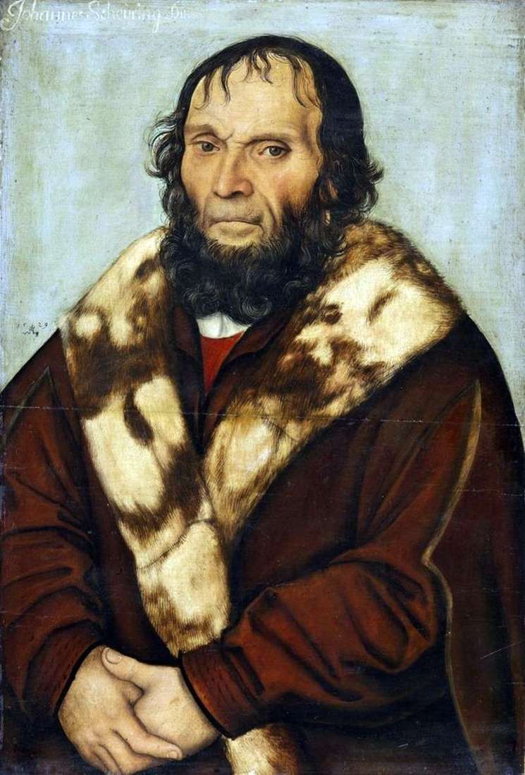Ritratto del Dr. Johann Shiring   Lukas Cranach