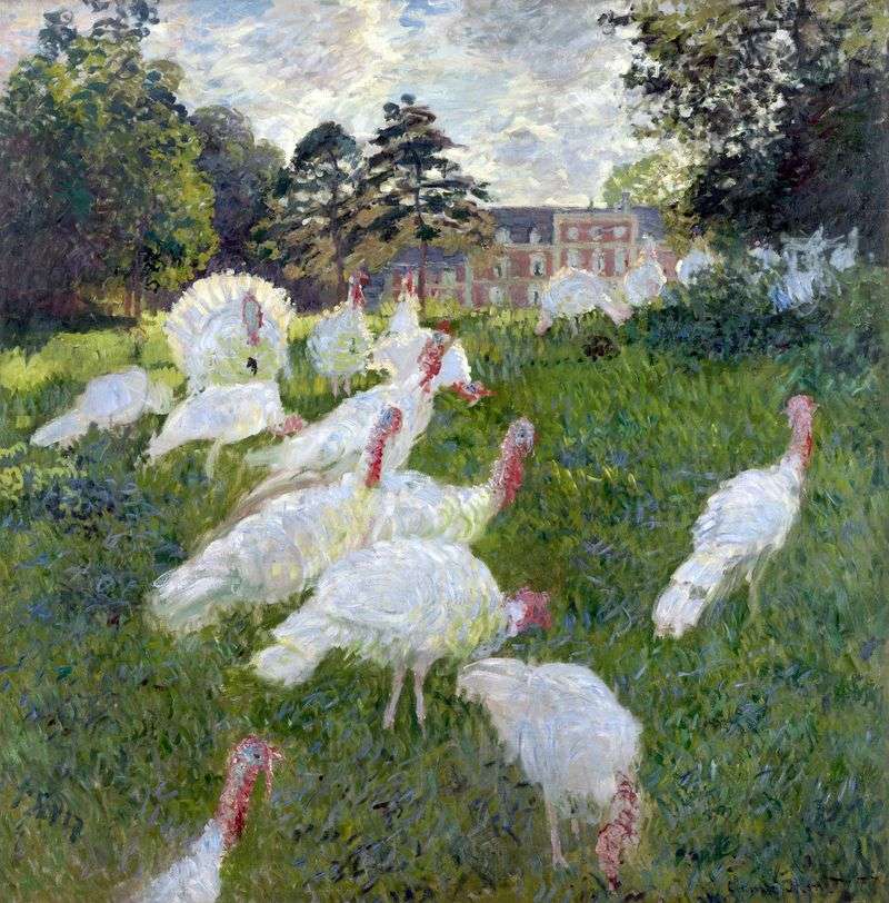 Tacchini bianchi   Claude Monet