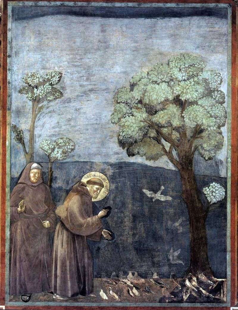 Predicare agli uccelli   Giotto