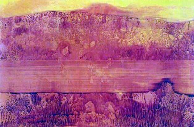 Colorado River   Max Ernst