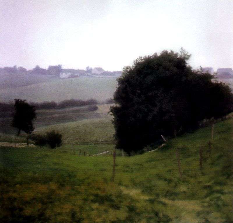 Country Meadows   Gerhard Richter