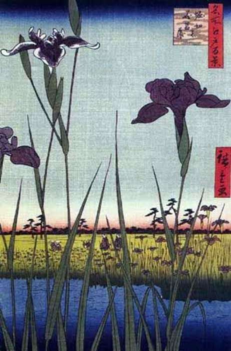 Iris in Horikiri   Ando Hiroshige