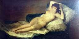 Mach nudo   Francisco de Goya