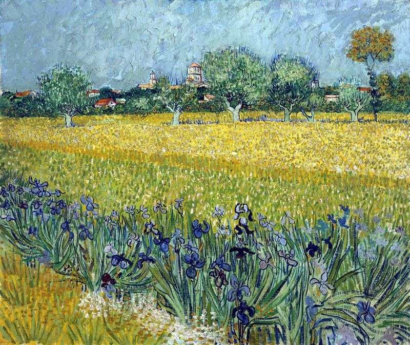Vista su Arles con le iridi in primo piano   Vincent Van Gogh