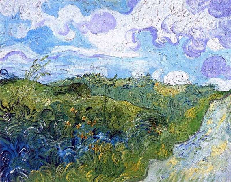 Campi di grano verde   Vincent Van Gogh