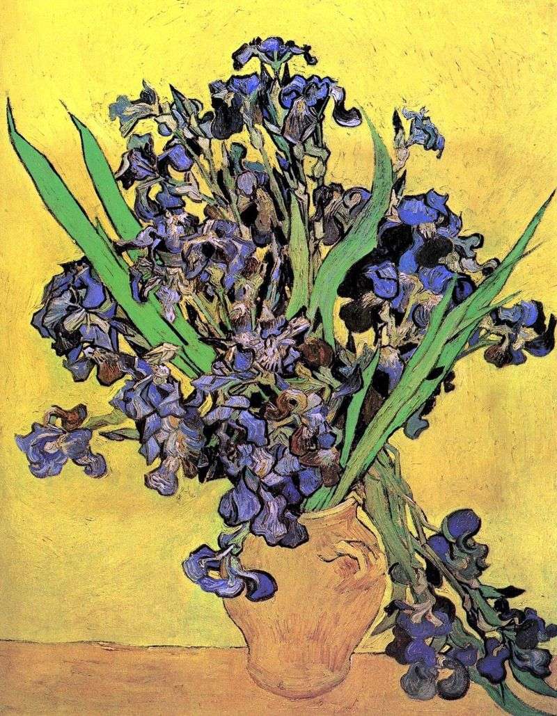 Iris   Vincent Van Gogh