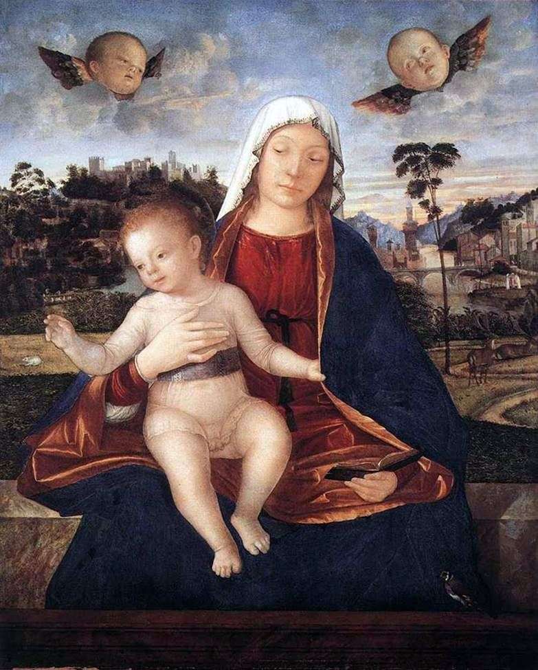 Madonna col Bambino   Vittore Carpaccio