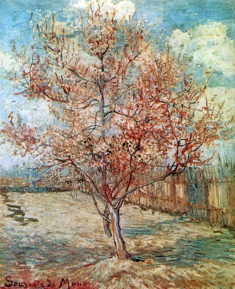 Peach Blossom   Vincent Van Gogh