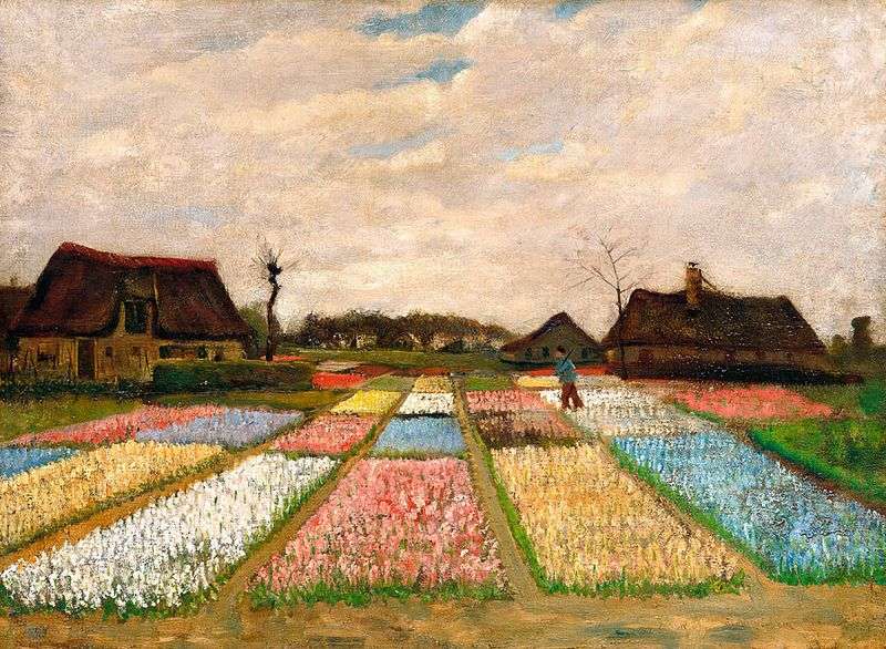 Tulip Fields   Vincent Van Gogh