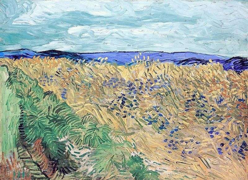 Campo di grano con fiordalisi   Vincent Van Gogh