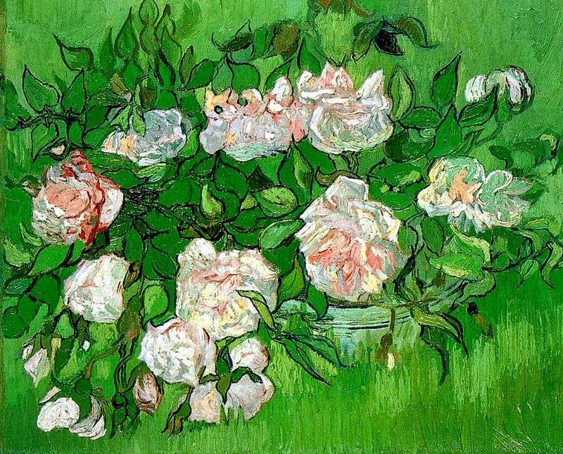 Rose rosa   Vincent Van Gogh