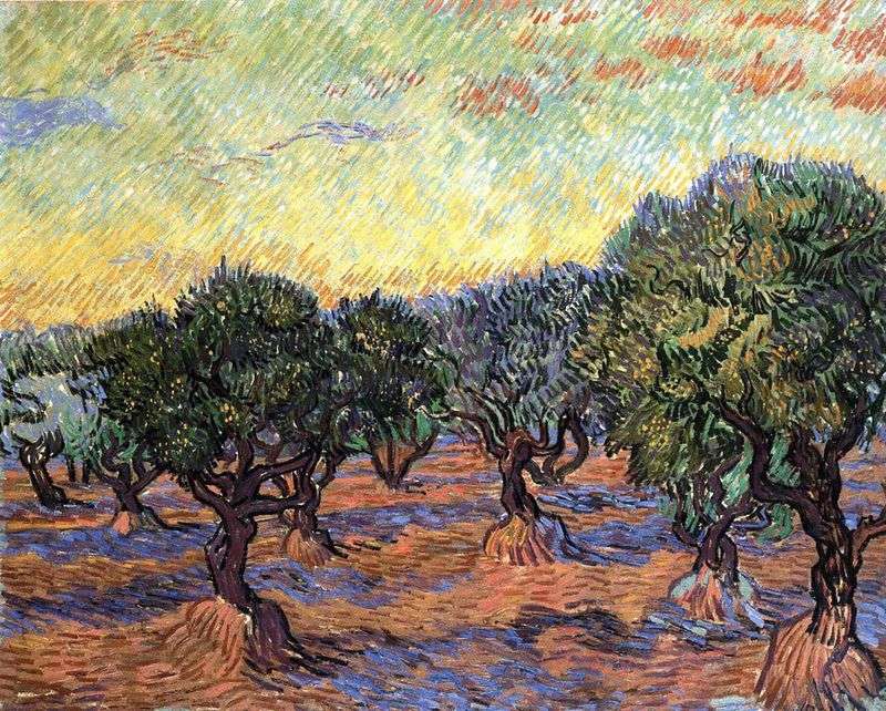 Grove Olive   Vincent Van Gogh