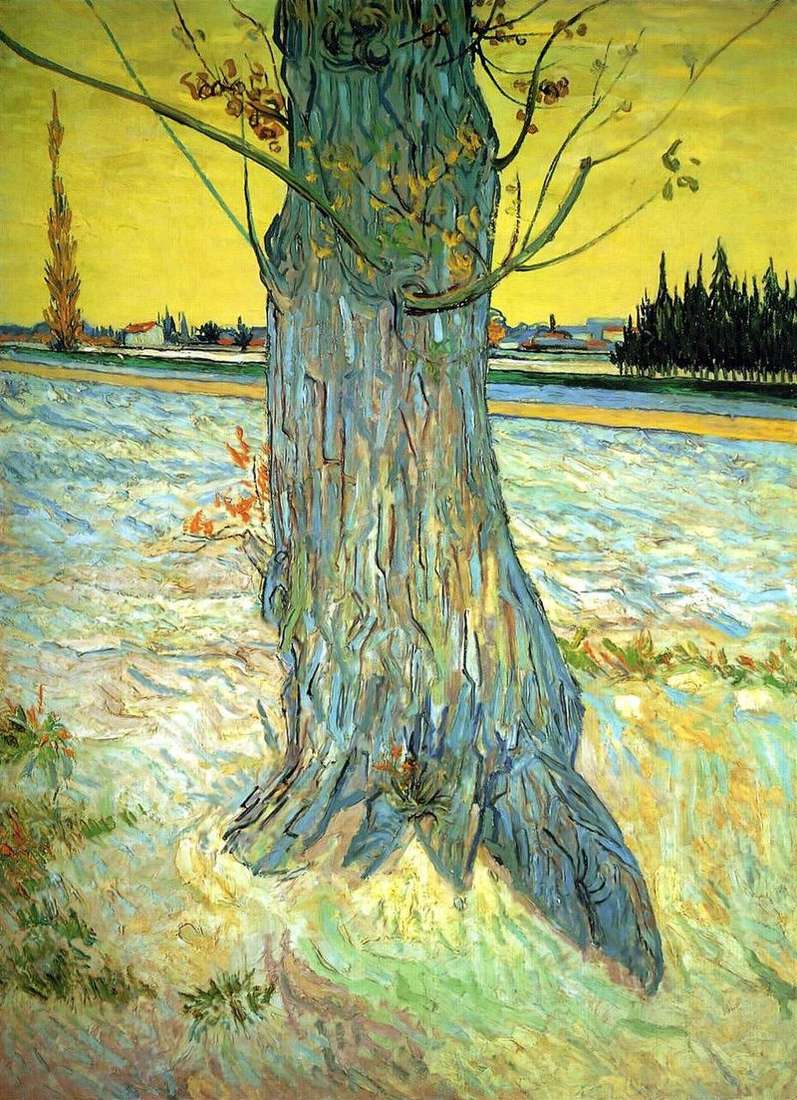 Il baule del vecchio tasso   Vincent Van Gogh