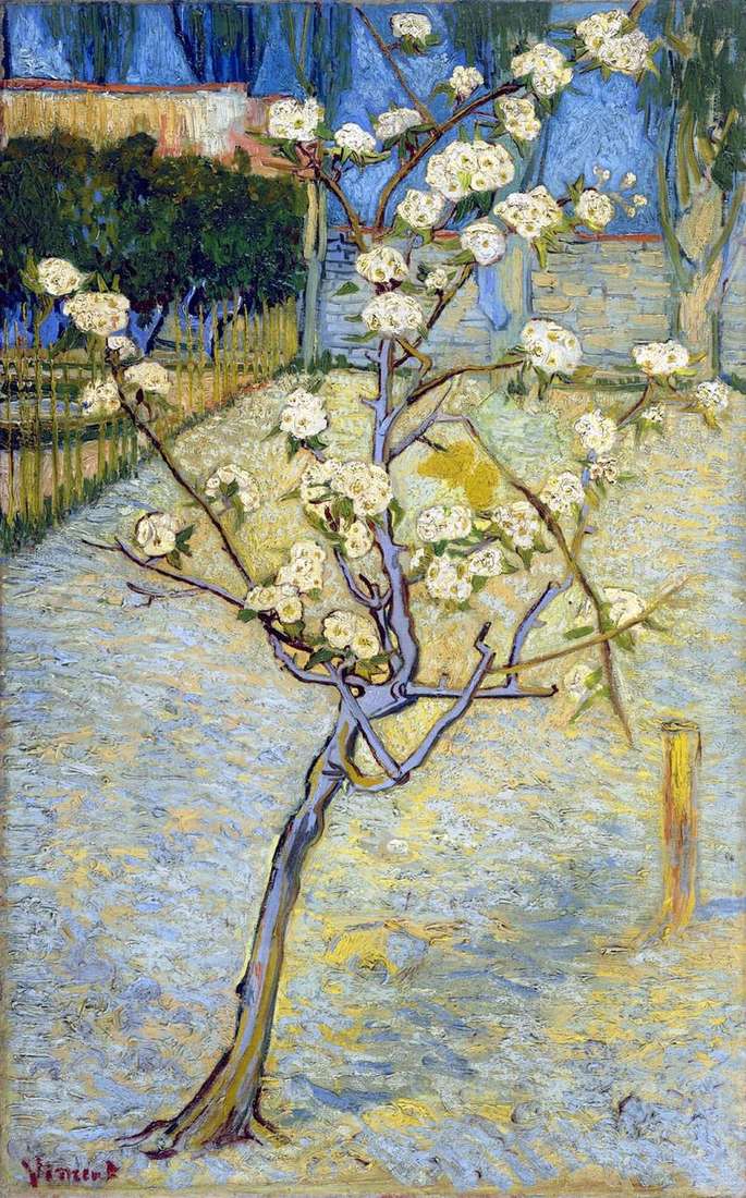 Pear Blossom   Vincent Van Gogh