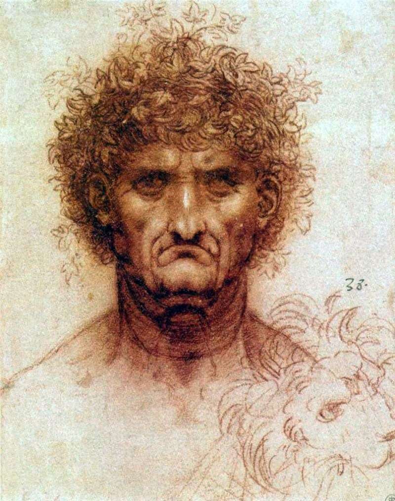 La testa di un uomo e un leone   Leonardo da Vinci
