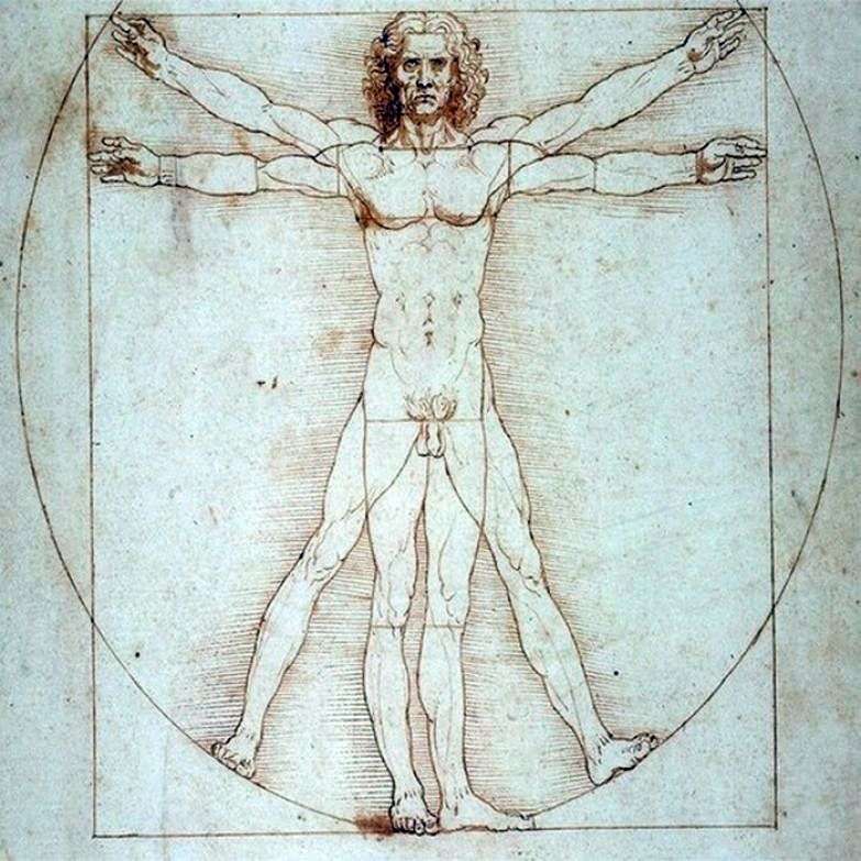 Uomo vitruviano   Leonardo da Vinci