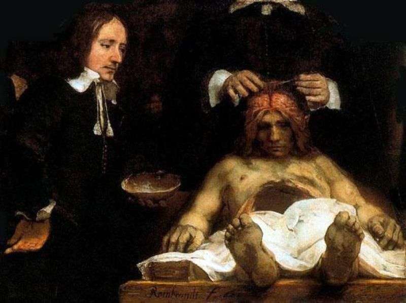 Lezione di anatomia del Dr. Deiman   Rembrandt Harmens Van Rhine