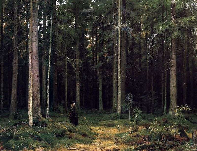 Nella foresta della contessa Mordvinova. Peterhof   Ivan Shishkin
