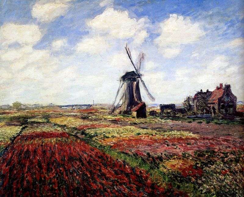 Tulipani olandesi   Claude Monet