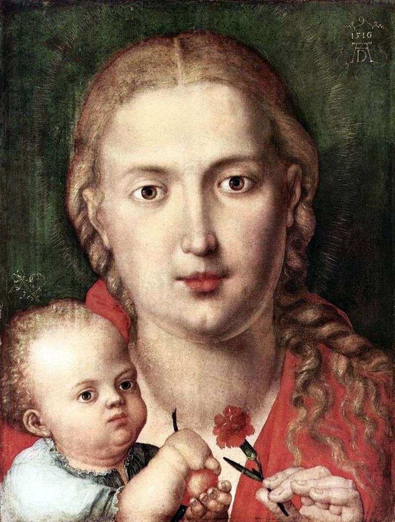 Madonna del garofano   Albrecht Durer